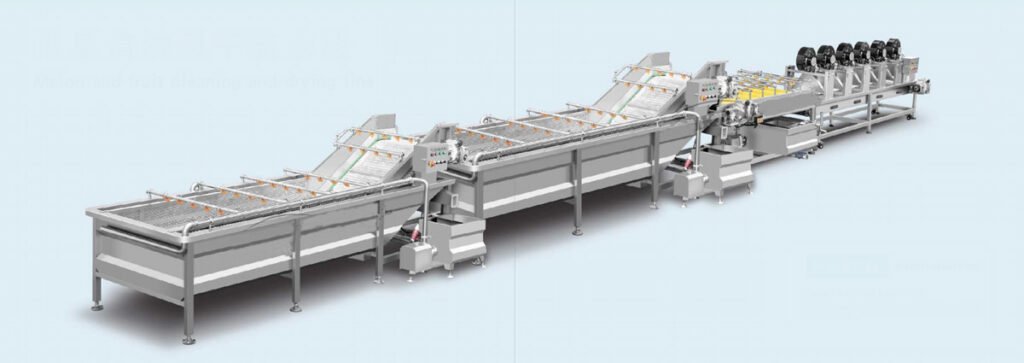 Fruit cleaning and drying line